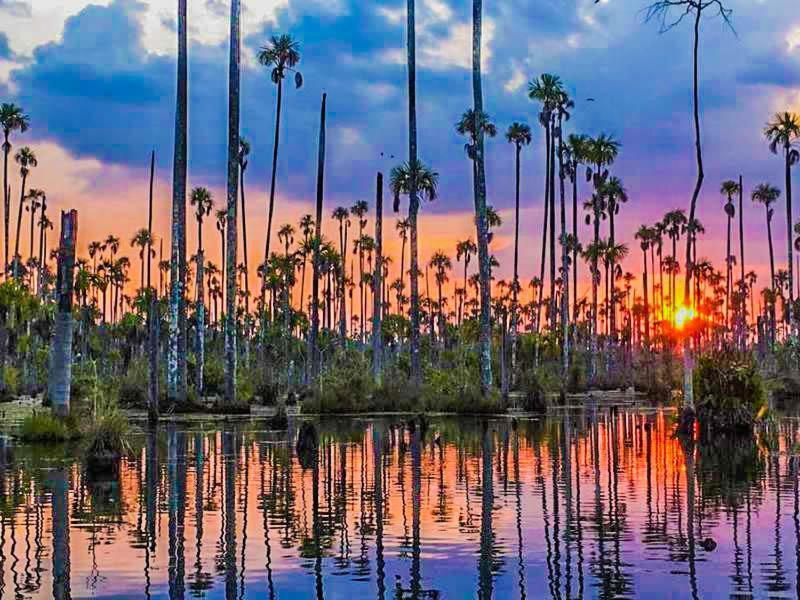 Хостел Castana Amazon Park Пуэрто-Мальдонадо Экстерьер фото
