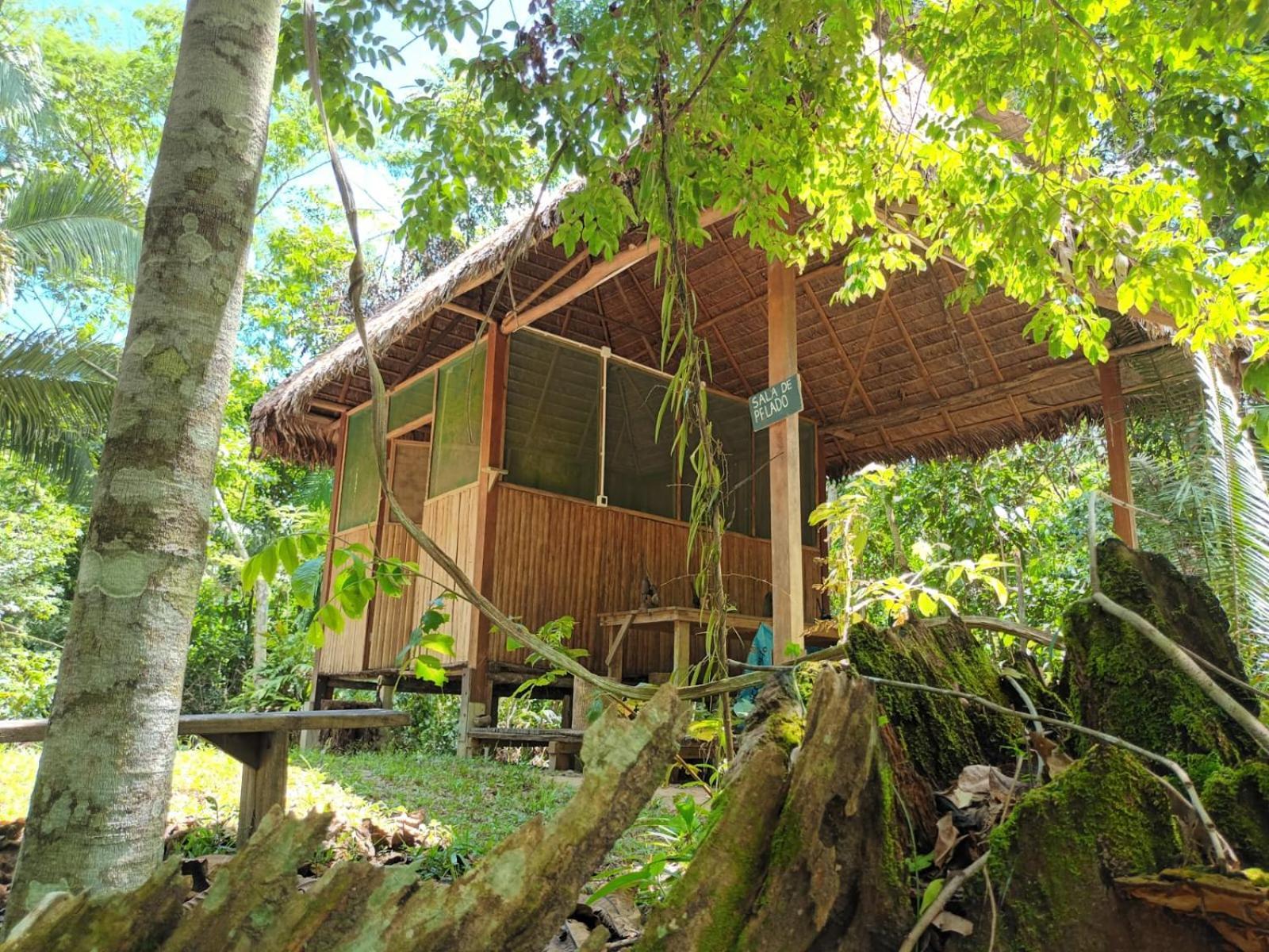 Хостел Castana Amazon Park Пуэрто-Мальдонадо Экстерьер фото