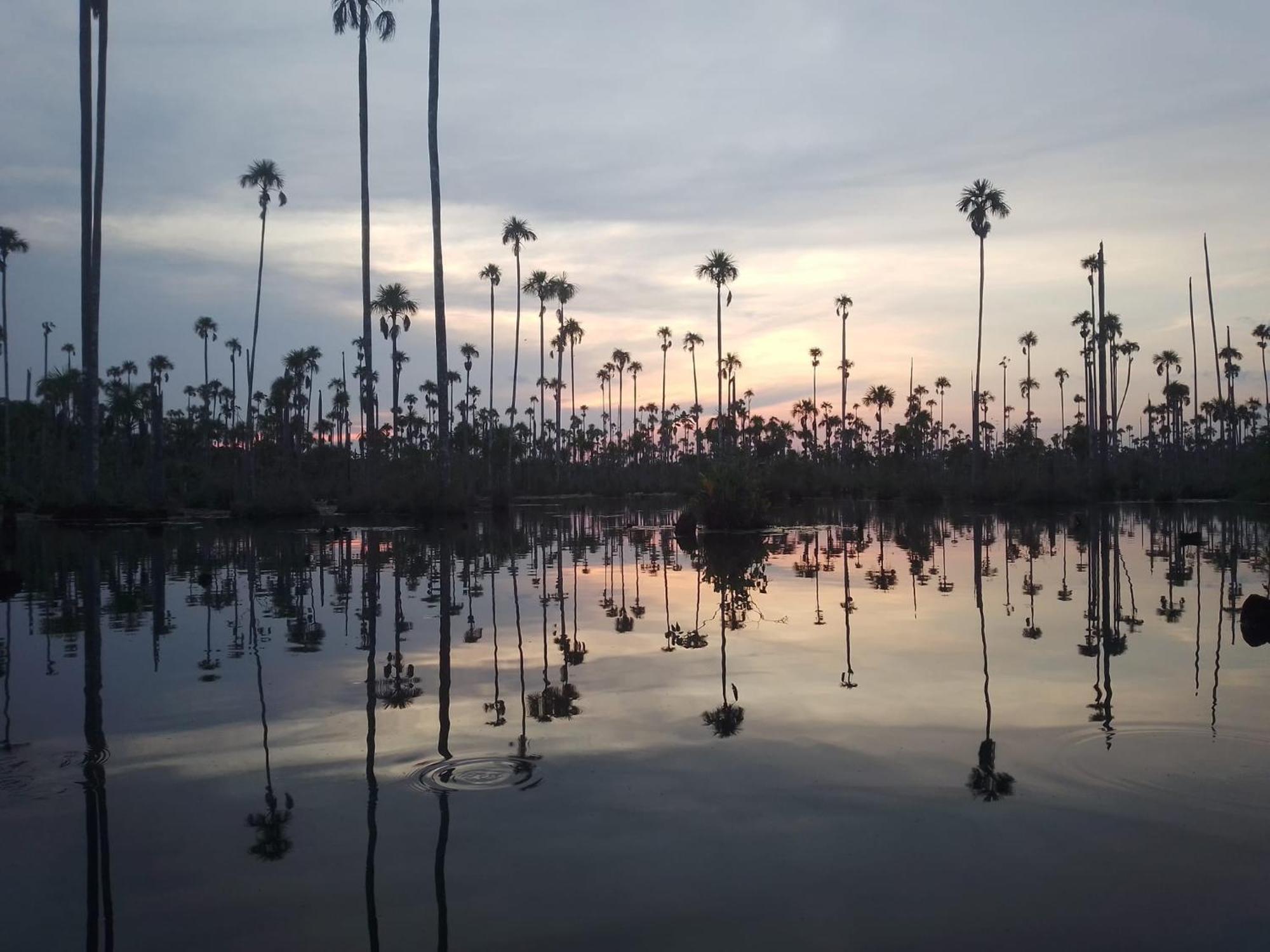 Хостел Castana Amazon Park Пуэрто-Мальдонадо Экстерьер фото